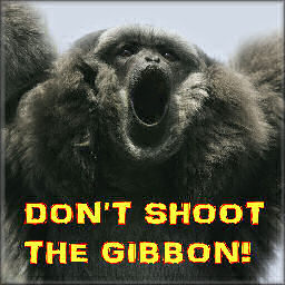 Mr gibbon's Photo